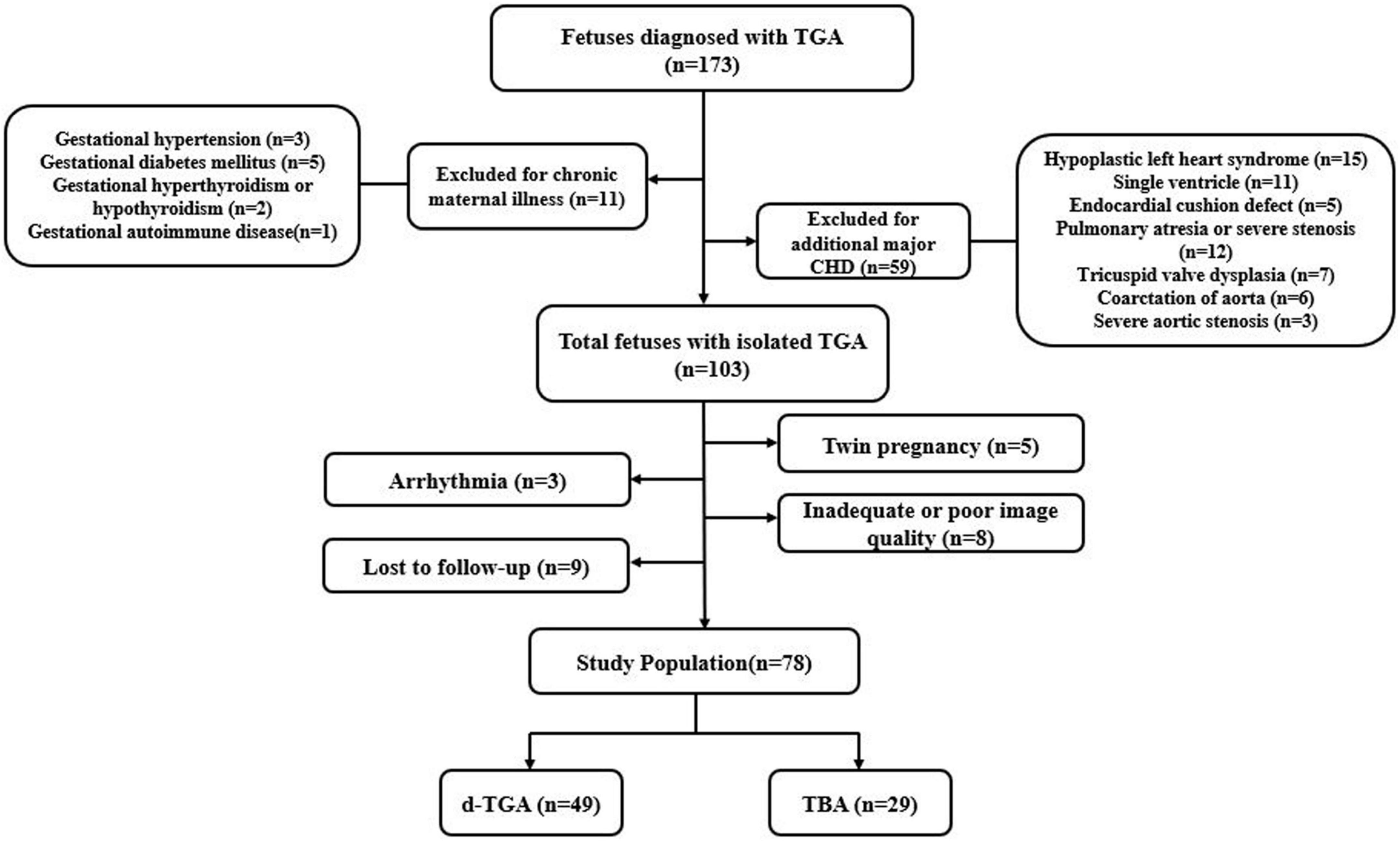 Right ventricular systolic function and associated anatomic risk factors in fetuses with transposition of the great arteries: Evaluation by velocity vector imaging